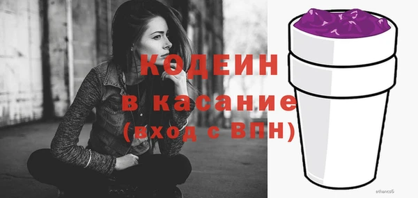 индика Ладушкин