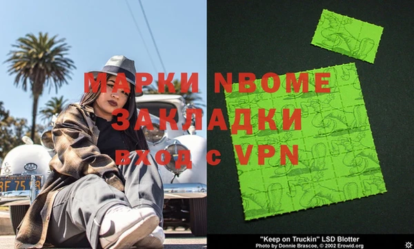 индика Ладушкин