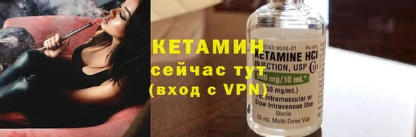 индика Ладушкин