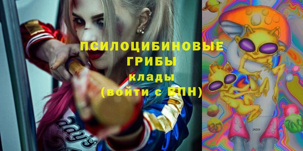 apvp Лабытнанги