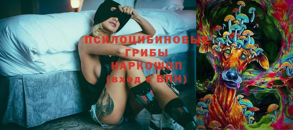 индика Ладушкин