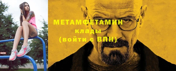 индика Ладушкин