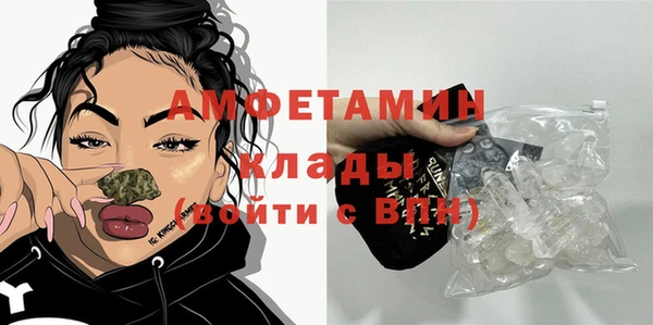 индика Ладушкин
