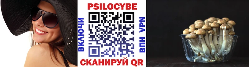 купить закладку  Томмот  МЕГА ссылки  Псилоцибиновые грибы прущие грибы 