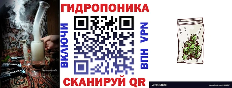где купить наркоту  Томмот  Конопля план 